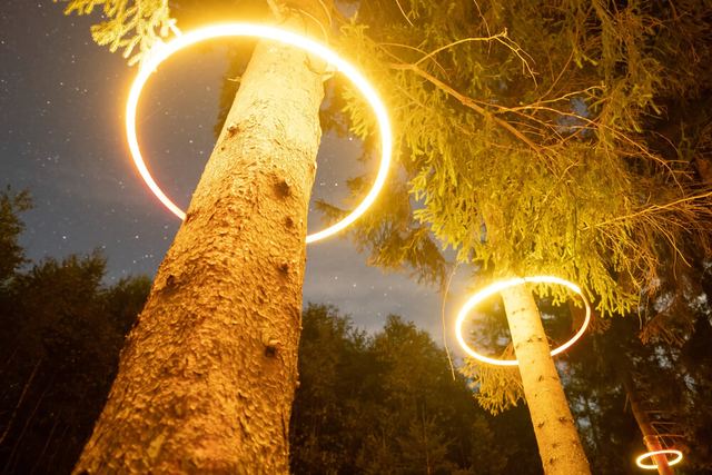 Glowing circular light rings surround tree trunks in a forest, lighting the branches yellow.
