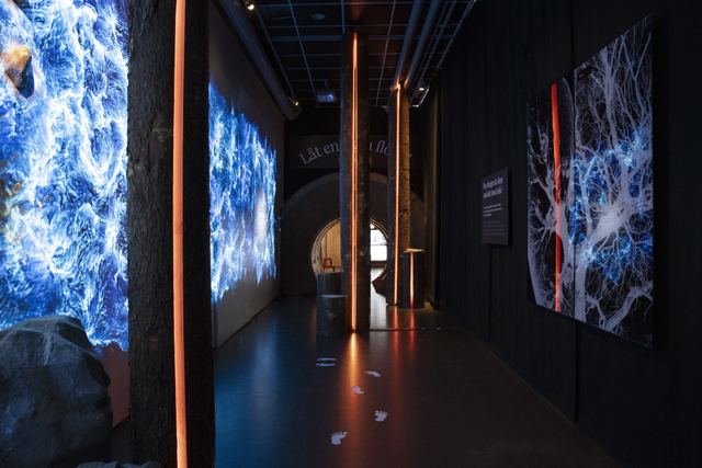 Amber LED light glows from channels inside split tree trunks, surrounded by blue river and tree projections in a dark room.