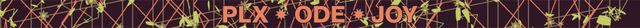 The ODE JOY Friday wristband: the same lattice and flowers in lime and orange on oxblood, with PLX ODE JOY in orange.
